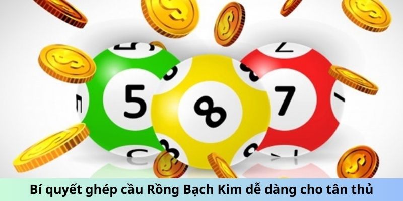 Bí quyết ghép cầu Rồng Bạch Kim dễ dàng cho tân thủ