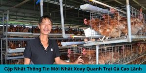 Tin tức mới nhất xoay quanh trại gà Cao Lãnh