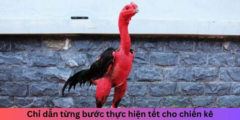 Chỉ dẫn từng bước thực hiện tết cho chiến kê