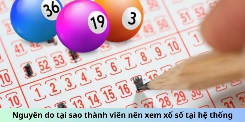 Nguyên do tại sao thành viên nên xem xổ số tại hệ thống