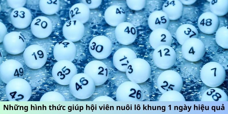 Những hình thức giúp hội viên nuôi lô khung 1 ngày hiệu quả