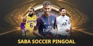 Saba Soccer Pingoal