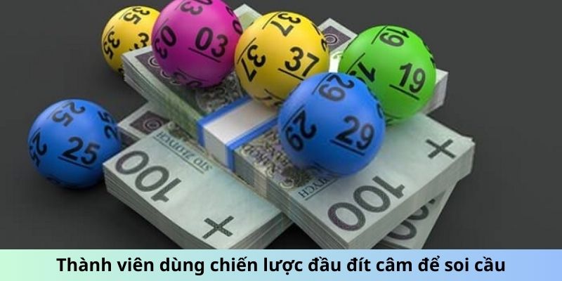 Thành viên dùng chiến lược đầu đít câm để soi cầu