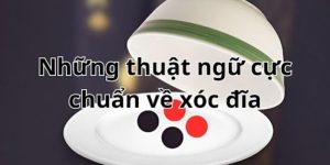 Thuật ngữ xóc đĩa