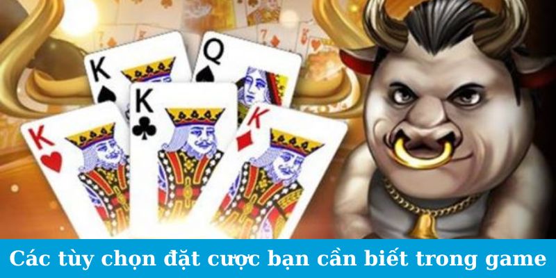 Các tùy chọn đặt cược bạn cần biết trong game