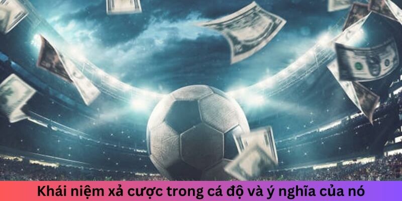 Khái niệm xả cược trong cá độ và ý nghĩa của nó