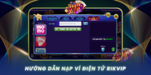 Huong Dan Nap Vi Dien Tu Chi Tiet Cho Nguoi Moi Tai Rikvip